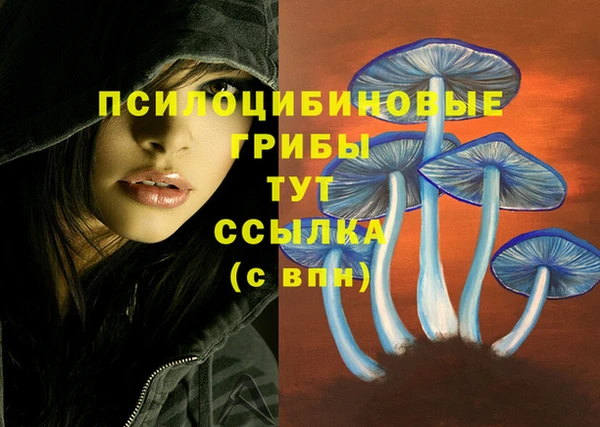 ECSTASY Арсеньев