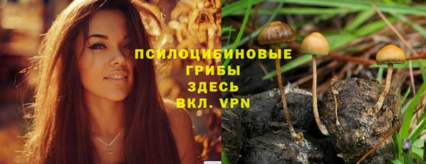 ешки Армянск