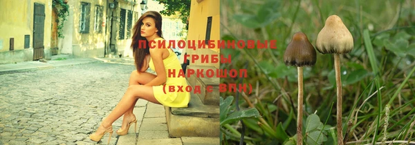 амф Аркадак