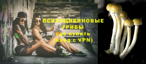 ешки Армянск